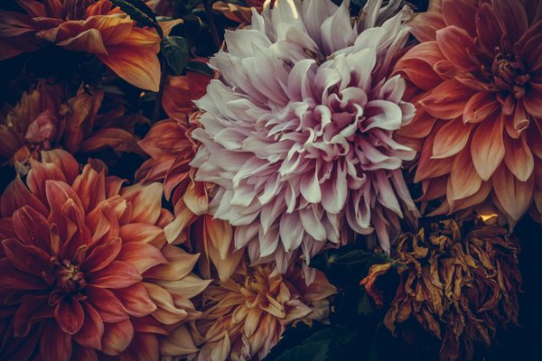 Crucial flood insurance facts every riverside property buyer in oxford must know